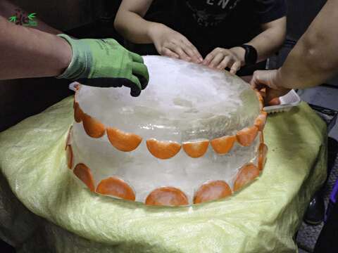 「圓圓」的蛋糕是圓型的底座(圖片來源：臺北市立動物園)