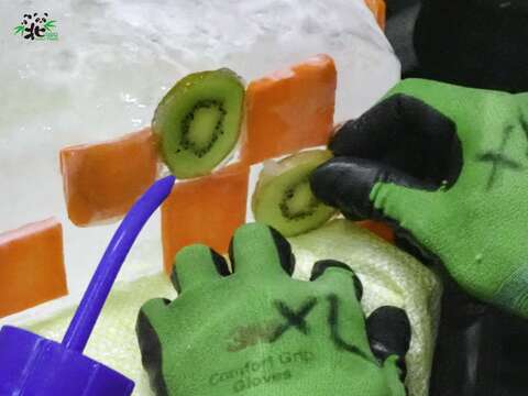 大貓熊的蛋糕是用切片的蔬果一片一片拼貼的(圖片來源：臺北市立動物園)