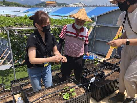 體驗栽種樂趣(圖片來源：臺北市政府產業發展局)
