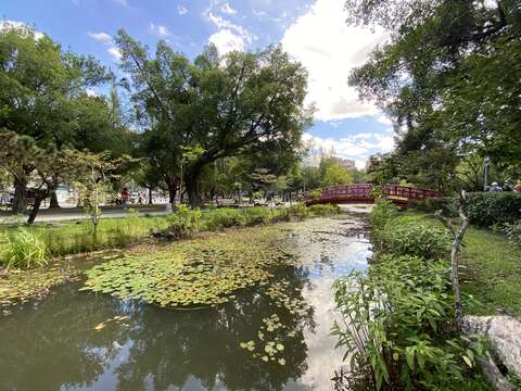 興隆公園的生態池.JPG(圖片來源：臺北市政府工務局公園路燈工程管理處)