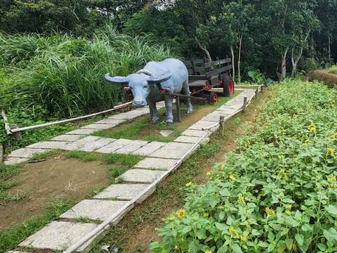 花海旁的水牛意象(圖片來源：臺北大眾捷運股份有限公司)