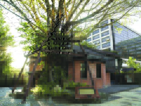 樹屋浴場(圖片來源：臺北市政府文化局)