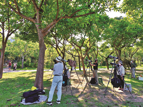大安森林公園には多くのバードウォッチャーが集まり、珍しい鳥を探したり、写真撮影をしています。 ( 写真/Yengping )