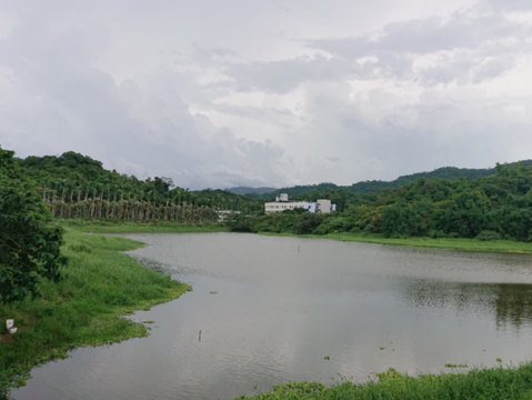 新庄仔埤是臺北市地方級重要濕地(圖片來源：臺北市政府工務局公園路燈工程管理處)