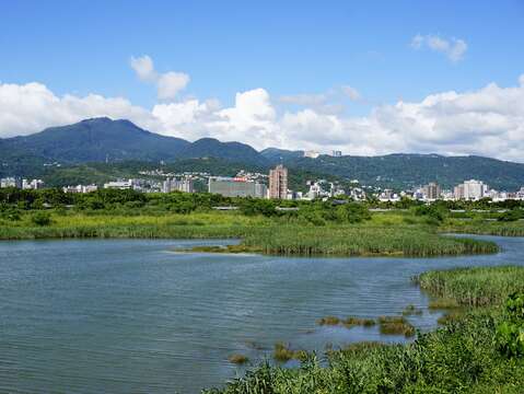 來一趟社子島濕地，可輕易地享受生態觀察的樂趣(圖片來源：臺北市政府工務局水利工程處)