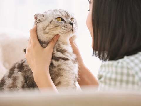 Based on cats’ moods and needs, a cat whisperer bridges the gap between cat owners and their pets so that they can live together peacefully. (Photo/xFrame Official)