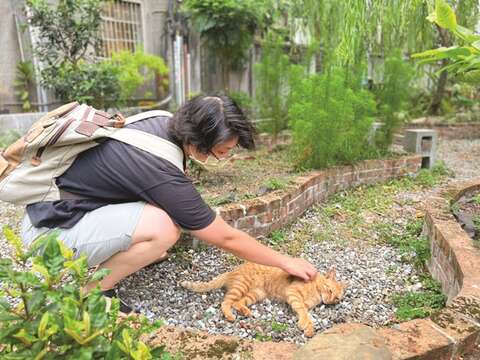 Realizing they also need love and care, people in Taipei have become more and more friendly to kittens. (Photo/Taiwan Scene)