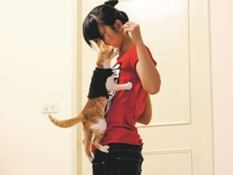 When solving a cat behavior problem, it is not only about training the cat, but also educating owners who may misunderstand their cats.
