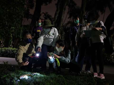 實體工作坊-夜間觀察歡迎市民報名參加(圖片來源：臺北市動物保護處)