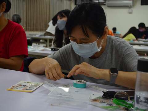 實體工作坊-蜜蜂解剖於9月21日開放報名.JPG(圖片來源：臺北市動物保護處)