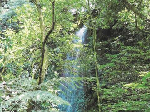 森の中にひっそりと隠れている絹絲滝は、天から降り注ぐ糸のような水が地面にある岩を赤く酸化させています。