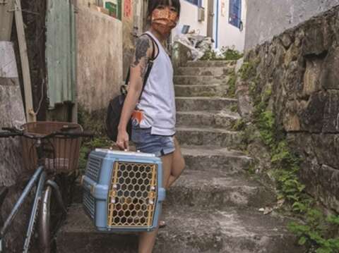 野良猫の支援は忍耐と決意が必要ですが、猫の生活をよりよくすることは蘇氏にとって非常にかけがえのない経験です。