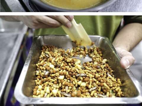 保育員增加大巨嘴鳥繁殖時期的營養攝取(圖片來源：臺北市立動物園)