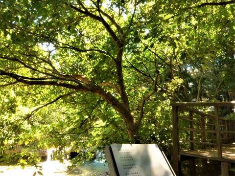 看看另一種美麗的北投(圖片來源：臺北市政府工務局公園路燈工程管理處)