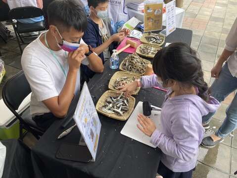 食魚文化園遊會(圖片來源：臺北大眾捷運股份有限公司)