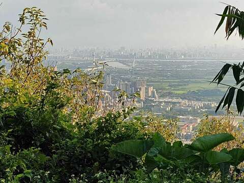 二崎農場可否看臺北城市風景(圖片來源：臺北市政府文化局)