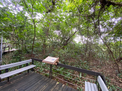 公園步道設有地質解說牌(圖片來源：臺北市政府工務局公園路燈工程管理處)