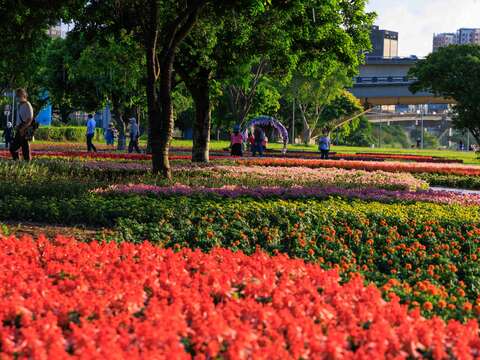 첫번째 화하이(꽃축제)는 옌핑 허빈공원에서