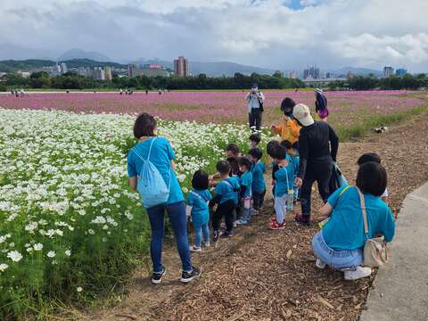 小朋友也來花海上一堂大自然課程(圖片來源：臺北市政府工務局)