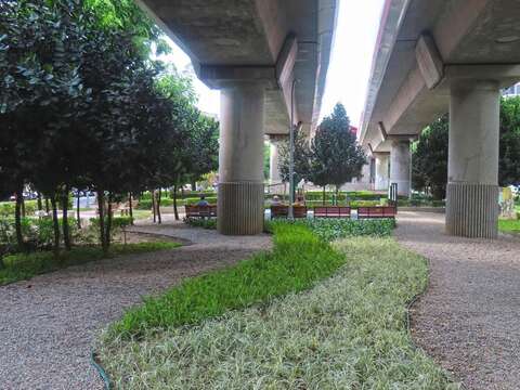 玉龍草、腎蕨、銀紋沿階草、白鶴芋耐蔭植物於園路節點旁點綴形成亮點(圖片來源：臺北市政府工務局公園路燈工程管理處)