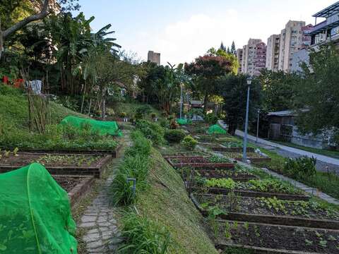 規劃園圃提供認養種植(圖片來源：臺北市政府工務局公園路燈工程管理處)