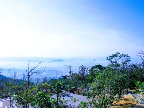 碧山露營場-南區營位(圖片來源：臺北市政府工務局大地工程處)