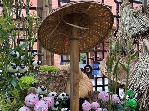 Shilin Residence Chrysanthemum Show Celebrates 20th Anniversary