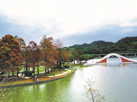 Dahu Park has a different look depending on the season, and colorful bald cypresses can be spotted here in winter. (Photo/Yuskay Huang)