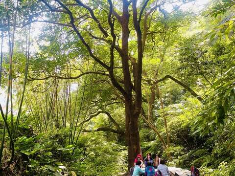 溪畔步道樹下閒坐慢活時光。(圖片來源：臺北市政府工務局大地工程處)