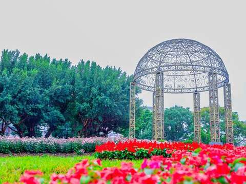 The first choice for light travel in the post-epidemic era! Chrysanthemum exhibition 210,000 pots of chrysanthemums welcome guests, There are certificate of gold, Forbidden City boutiques, Airpods... series of event awards waiting for you.
