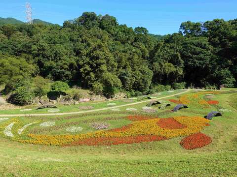 Flower Viewing During New Year’s Eve Holidays Dagouxi Riverside Park Sea of Flowers in Full Bloom