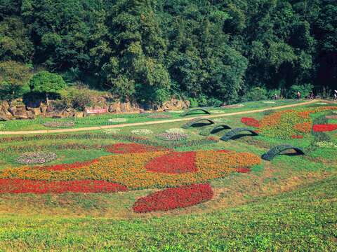 Flower Viewing During New Year’s Eve Holidays Dagouxi Riverside Park Sea of Flowers in Full Bloom
