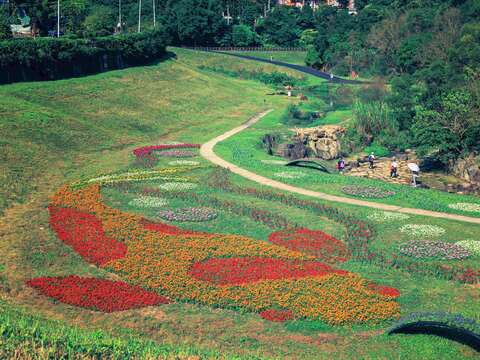 Flower Viewing During New Year’s Eve Holidays Dagouxi Riverside Park Sea of Flowers in Full Bloom