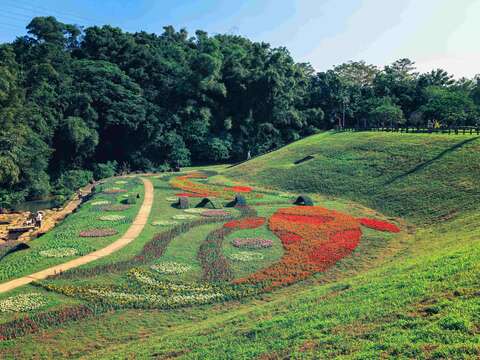 Flower Viewing During New Year’s Eve Holidays Dagouxi Riverside Park Sea of Flowers in Full Bloom