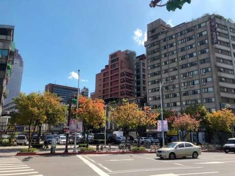 西門町中華路黃連木紅葉浪漫(圖片來源：臺北市政府工務局公園路燈工程管理處)