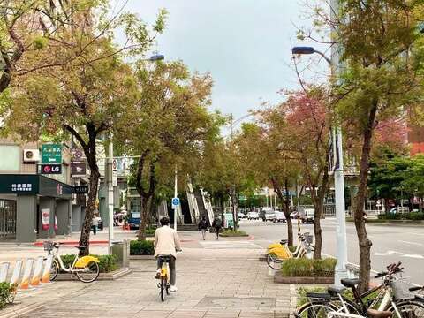 漫步或騎乘感受黃連木變葉呈現(圖片來源：臺北市政府工務局公園路燈工程管理處)