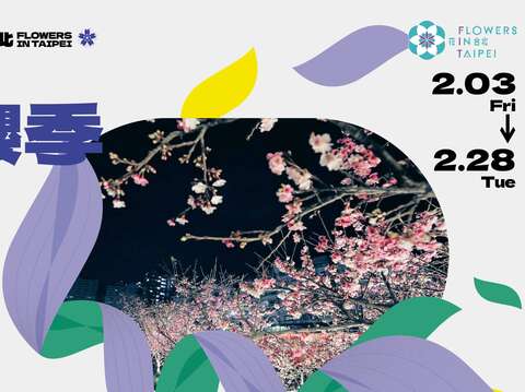 2023花in台北-夜櫻季(圖片來源：臺北市政府工務局公園路燈工程管理處)