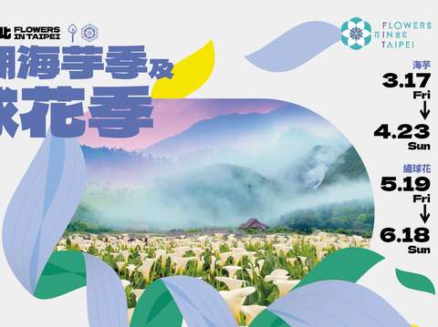 2023花in台北海芋繡球花(圖片來源：臺北市政府工務局公園路燈工程管理處)