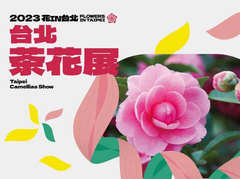 2023花in台北-茶花(圖片來源：臺北市政府工務局公園路燈工程管理處)