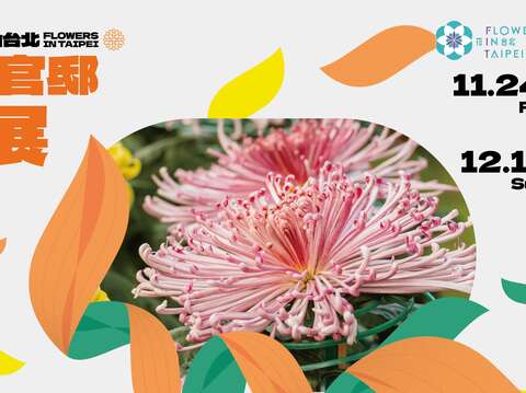 2023花in台北-菊展(圖片來源：臺北市政府工務局公園路燈工程管理處)