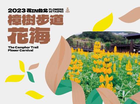 2023花in台北-樟樹步道(圖片來源：臺北市政府工務局公園路燈工程管理處)