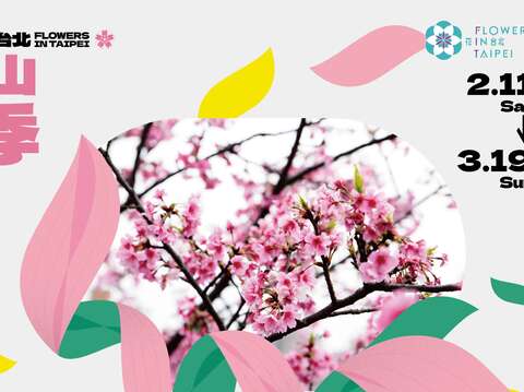 2023花in台北-陽明山花季(圖片來源：臺北市政府工務局公園路燈工程管理處)