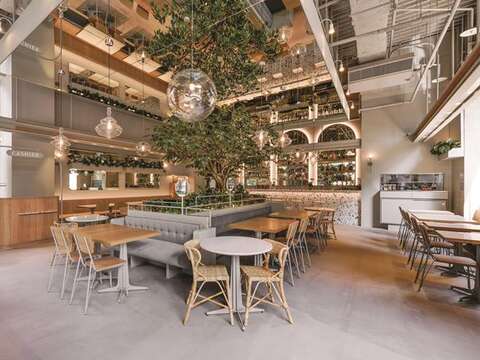The decoration of Little Tree Food is beautiful and comfortable with a green space full of energetic plants. (Photo/Little Tree Food)