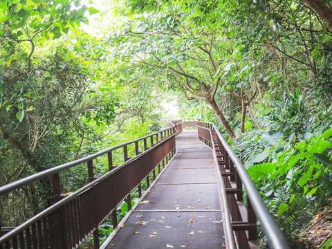 步道採用金屬擴張網，提高棧道防滑性，考量雙向及並行的步行需求，棧道寬度以1.5m為主，達到以人為本之友善步道(圖片來源：臺北市政府工務局公園路燈工程管理處)