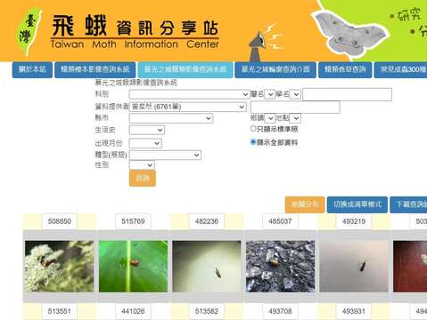曾粲然同學提供的資料筆數在台灣飛蛾資訊分享站中名列前茅，每個提供者都能用同樣的方法查詢到自己曾經提供的資料照片和連結。(圖片來源：臺北市青少年發展暨家庭教育中心)
