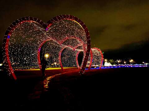 古亭花海今年還加碼夜間燈光，日夜都好拍(圖片來源：臺北市政府工務局水利工程處)
