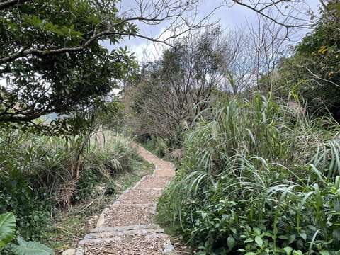 水尾巴拉卡步道換上透水材質，木屑造型為鋪面的新衣裳(圖片來源：臺北市政府工務局大地工程處)