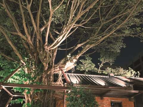 夜の榕錦時光生活園区はとても美しく、静かなのでお散歩に最適です。