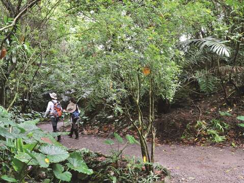 富陽自然生態公園は生態系がしっかり保存されていることから、小さな森のような雰囲気をしています。( 写真 / Taiwan Scene )