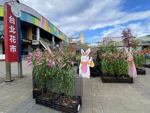 花市A館入口處運用數百支及多種百合創造出小型百合花園(圖片來源：臺北市市場處)
